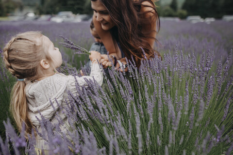 Tochter schenkt der Mutter auf dem Feld Lavendel, lizenzfreies Stockfoto
