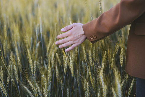 Abgeschnittene Hand einer Frau, die Pflanzen auf einem Bauernhof berührt - CAVF51648