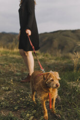 Tiefschnitt einer jungen Frau, die einen Hund auf einem Feld an der Leine hält - CAVF51674