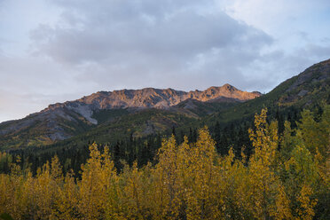 Blick auf die Landschaft des Denali National Park and Preserve gegen den Himmel - CAVF51797