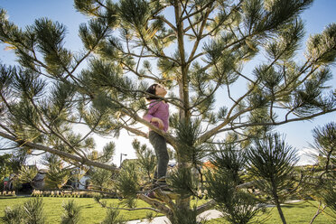 Verspieltes Mädchen klettert auf einen Baum im Park - CAVF51831