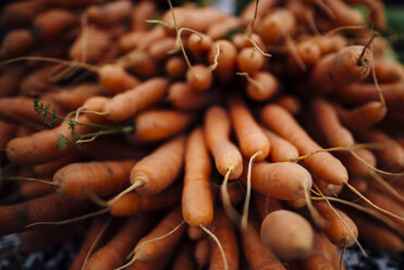 Close-up of carrots for sale at market stall - CAVF51833