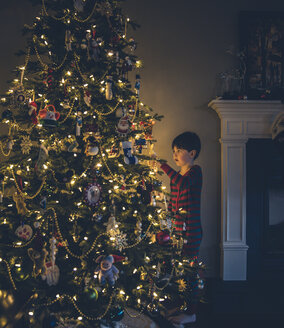 Junge schaut auf beleuchteten Weihnachtsbaum - CAVF51899