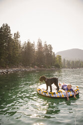 Mädchen mit Hund auf einem Floß im See liegend gegen den klaren Himmel - CAVF51902