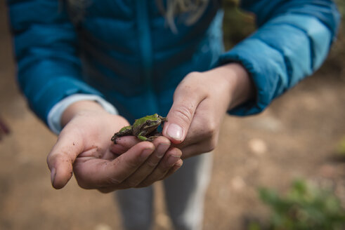 Mittelteil eines Mädchens, das einen Frosch hält, während es im Freien steht - CAVF52094