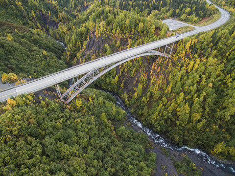 Hohe Winkelansicht einer Brücke im Wald, lizenzfreies Stockfoto