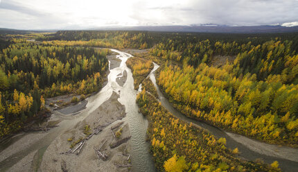 Blick von oben auf Flussbäume Denali National Park and Preserve - CAVF52103