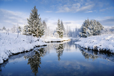 Malerische Aussicht auf Bäume am Bach inmitten eines schneebedeckten Feldes - CAVF52317