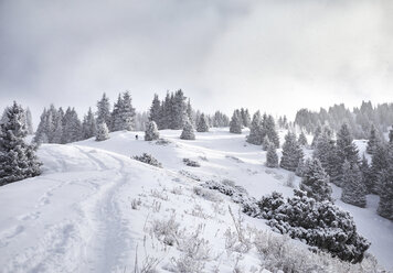 Fernblick auf einen Mann, der auf einem schneebedeckten Berg gegen einen bewölkten Himmel wandert - CAVF52343