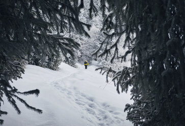 Rear view of male hiker with backpack standing on snow covered field in forest - CAVF52344