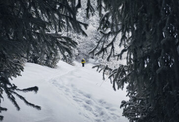 Rückansicht eines männlichen Wanderers mit Rucksack auf einem schneebedeckten Feld im Wald - CAVF52344