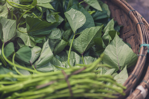 Vietnam, frisches Gemüse und Kräuter im Korb, lizenzfreies Stockfoto