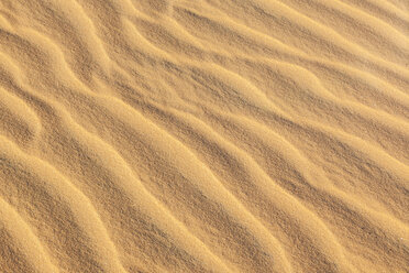 Detail of sand dune - MMAF00676