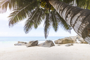 Seychellen, La Digue, Carana Strand - MMAF00697