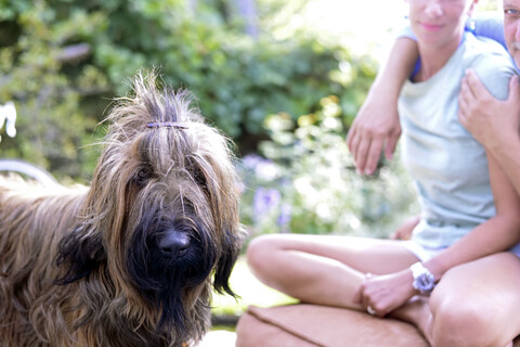 Porträt eines Hundes mit Haarspange im Garten, lizenzfreies Stockfoto
