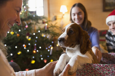 Familie mit Hundewelpe in Weihnachtsgeschenkbox - HOXF03950