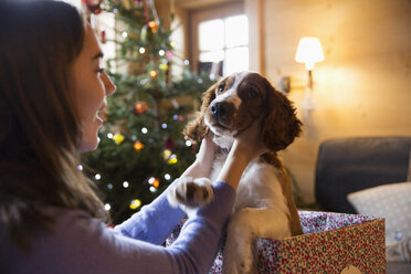 Teenager-Mädchen streichelt süßen Hund in Weihnachtsgeschenk-Box - HOXF03953