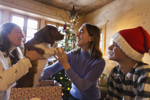 Familie spielt mit Hund in Weihnachtsgeschenkbox - HOXF03960