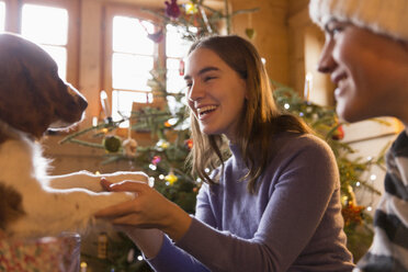 Fröhliche Geschwister spielen mit Hund im Weihnachtswohnzimmer - HOXF03962