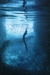 Young woman snorkeling among school of fish underwater, Vava'u, Tonga, Pacific Ocean - HOXF04139