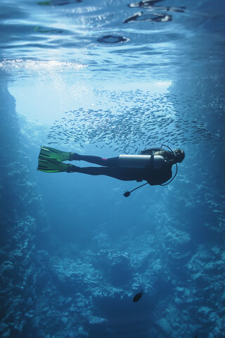 Junge Frau beim Tauchen unter Wasser zwischen Fischschwärmen, Vava'u, Tonga, Pazifischer Ozean, lizenzfreies Stockfoto