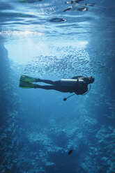 Junge Frau beim Tauchen unter Wasser zwischen Fischschwärmen, Vava'u, Tonga, Pazifischer Ozean - HOXF04143