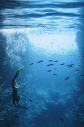 Young woman snorkeling underwater among fish, Vava'u, Tonga, Pacific Ocean - HOXF04145