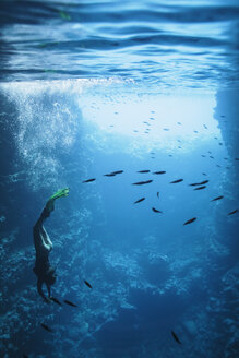 Junge Frau beim Schnorcheln unter Wasser zwischen Fischen, Vava'u, Tonga, Pazifischer Ozean - HOXF04145