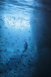 Frau beim Schnorcheln unter Wasser zwischen Fischschwärmen, Vava'u, Tonga, Pazifischer Ozean - HOXF04149