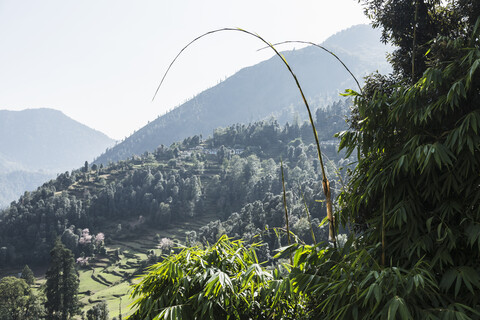 Sonnige Aussicht, Supi Bageshwar, Uttarakhand, Vorgebirge des indischen Himalaya, lizenzfreies Stockfoto