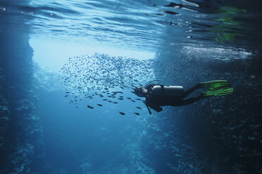Frau beim Tauchen unter Wasser zwischen Fischschwärmen, Vava'u, Tonga, Pazifischer Ozean - HOXF04152