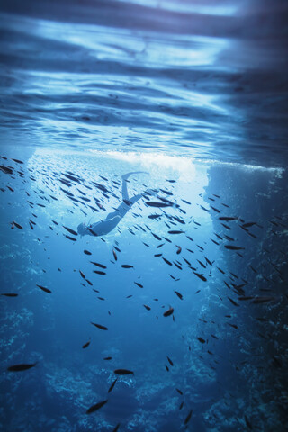 Frau beim Schnorcheln unter Wasser zwischen Fischen, Vava'u, Tonga, Pazifischer Ozean, lizenzfreies Stockfoto