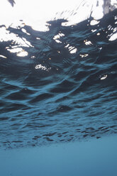 Underwater tranquil blue ocean water, Vava'u, Tonga, Pacific Ocean - HOXF04167