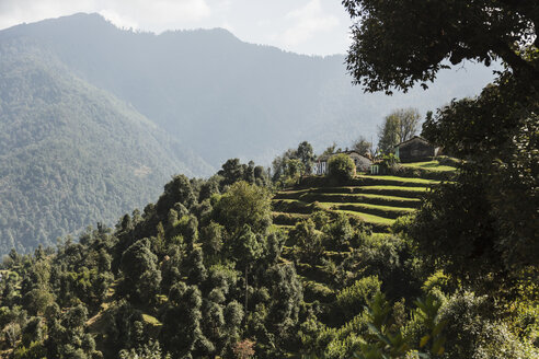 Sonnige Aussicht auf grüne Ausläufer, Supi Bageshwar, Uttarakhand, Vorgebirge des indischen Himalayas - HOXF04177
