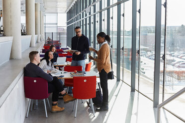 Männliche und weibliche Freunde diskutieren in der Universitätscafeteria über ihr Studium - MASF09666