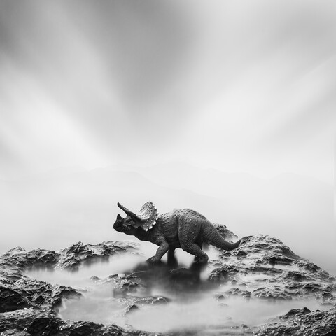 A toy dinosaur on a stone, black and white, long exposure stock photo