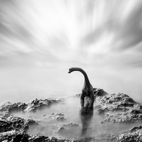 Ein Spielzeug-Dinosaurier auf einem Stein, schwarz-weiß, Langzeitbelichtung, lizenzfreies Stockfoto