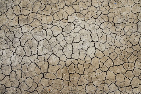 France, Marais salants de Guerande, dry cracked earth - GEMF02442