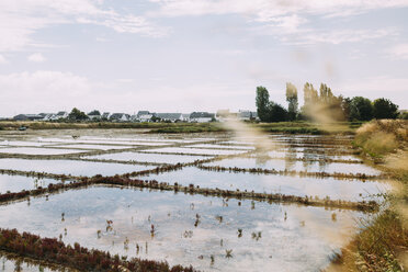 France, Bretagne, Guerande, Marais salants de Guerande - GEMF02446