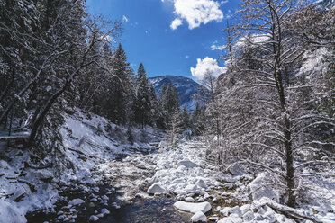 Bach, der durch schneebedeckte Felsen im Wald im Yosemite-Nationalpark im Winter fließt - CAVF52350