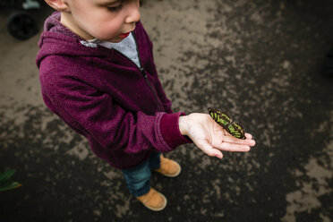 Hoher Blickwinkel des Jungen, der einen Schmetterling hält, während er auf der Straße steht - CAVF52486