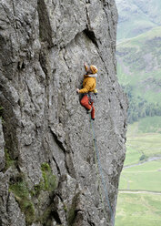 United Kingdom, Lake District, Langdale Valley, Gimmer Crag, climber on rock face - ALRF01356