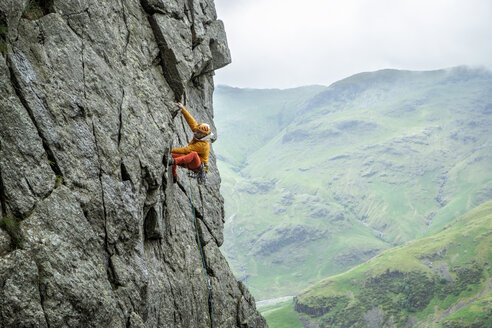 Vereinigtes Königreich, Lake District, Langdale Valley, Gimmer Crag, Kletterer an Felswand - ALRF01358