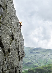 Vereinigtes Königreich, Lake District, Langdale Valley, Gimmer Crag, Kletterer an Felswand - ALRF01360