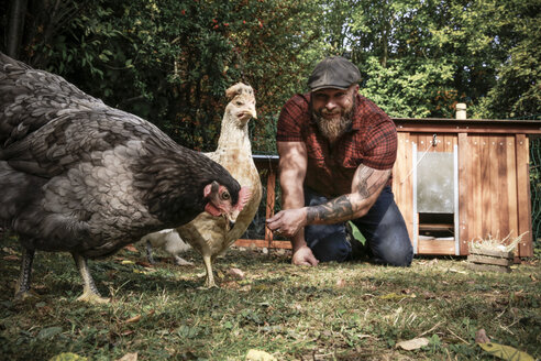 Man in his own garden, man feeding free range chickens - REAF00438