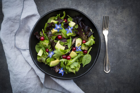 Schüssel mit gemischtem Salat mit Avocado, roten Johannisbeeren und Borretschblüten - LVF07513