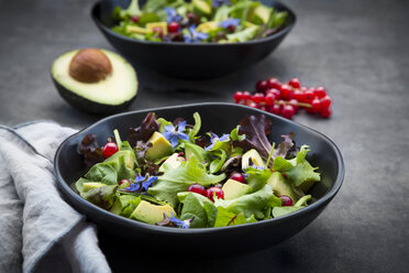 Schüssel mit gemischtem Salat mit Avocado, roten Johannisbeeren und Borretschblüten - LVF07514