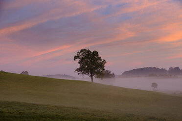 Germany, Pfaffenwinkel, view of landscape at morning mist - LBF02151