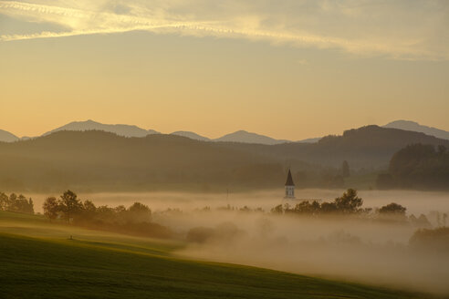 Deutschland, Pfaffenwinkel, Blick auf Landschaft bei Morgennebel - LBF02156