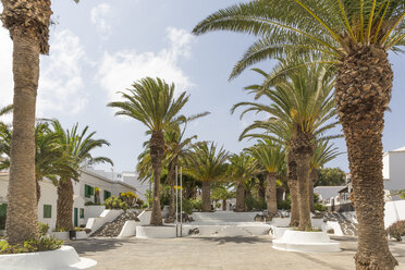 Spain, Canary Islands, Lanzarote, San Bartolome, city park in the centre - MABF00503